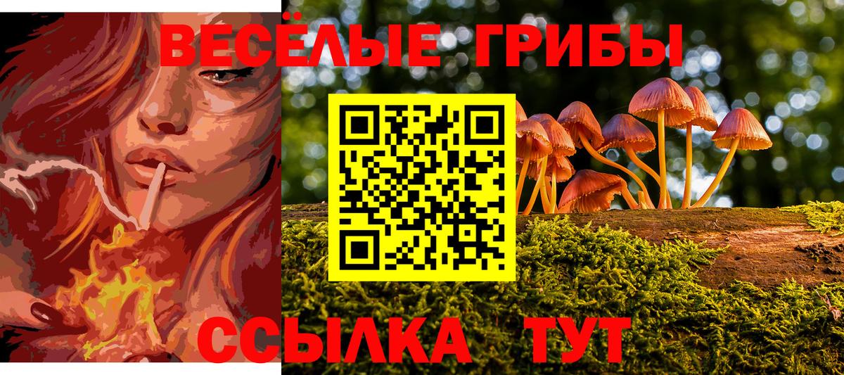 Галлюциногенные грибы MAGIC MUSHROOMS Пугачёв