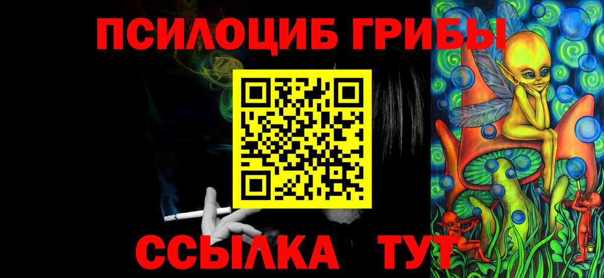 Галлюциногенные грибы Psilocybe  наркотики  Пугачёв  Галлюциногенные грибы мухоморы  Вход с VPN 