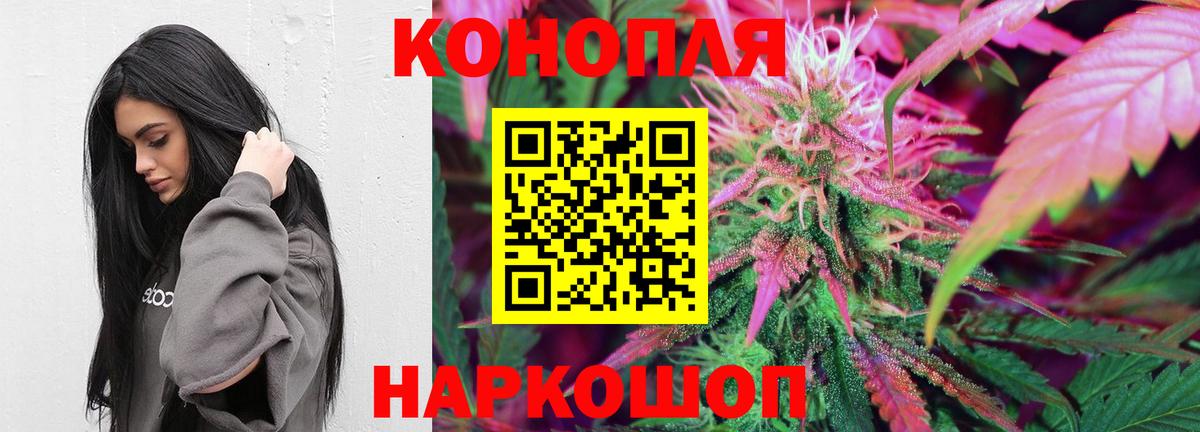 Конопля семена Пугачёв